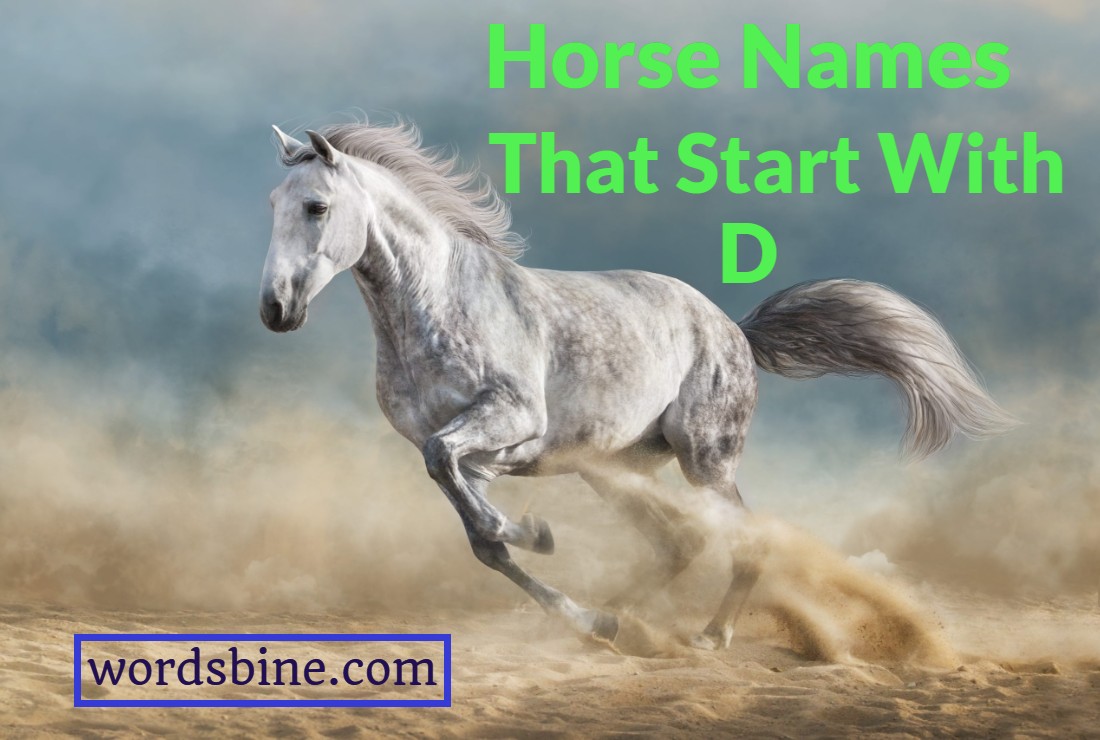 horse-names-that-start-with-d-charming-horse-names