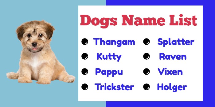 Dogs Name List