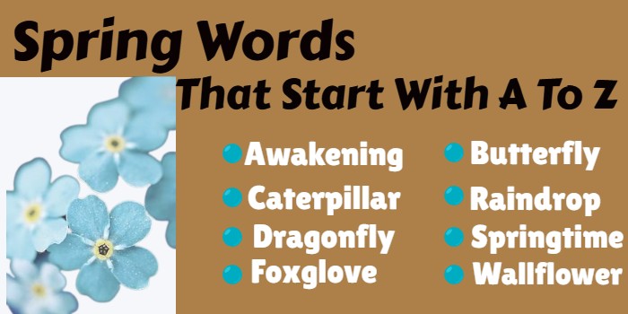 Spring Words That Start With A To Z