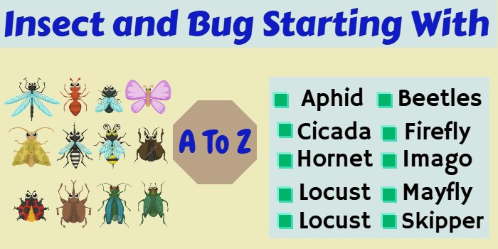 Insect and Bug Starting With A To Z