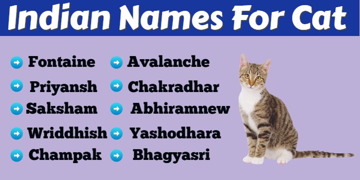Indian Names For Cat