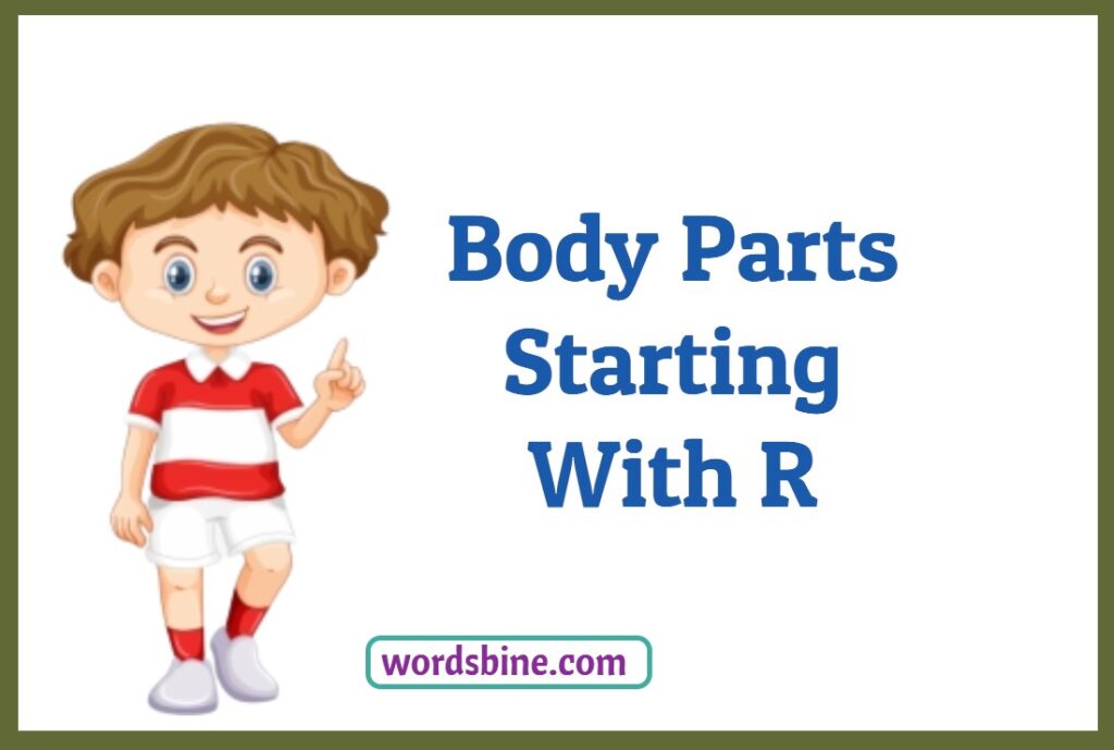 Body Parts Starting With R