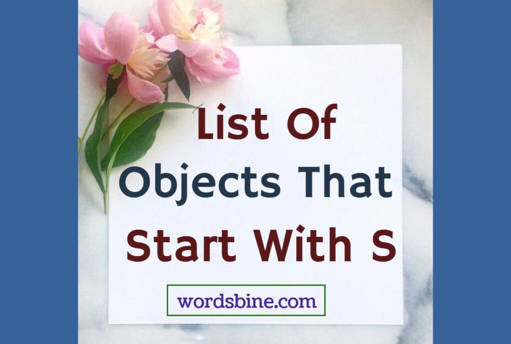 List Of Objects That Start With S