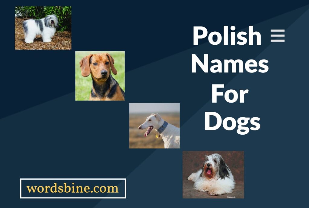 Polish Names For Dogs