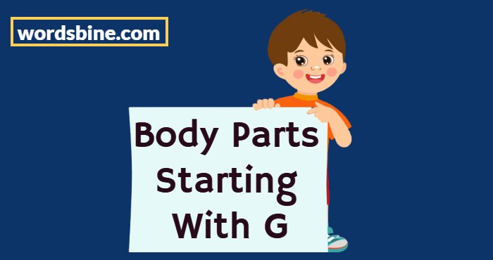 Body Parts Starting With G