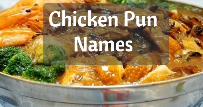 Chicken Pun Names