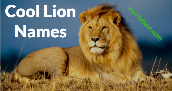 Cool Lion Names