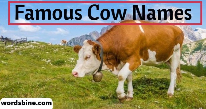 Famous Cow Names