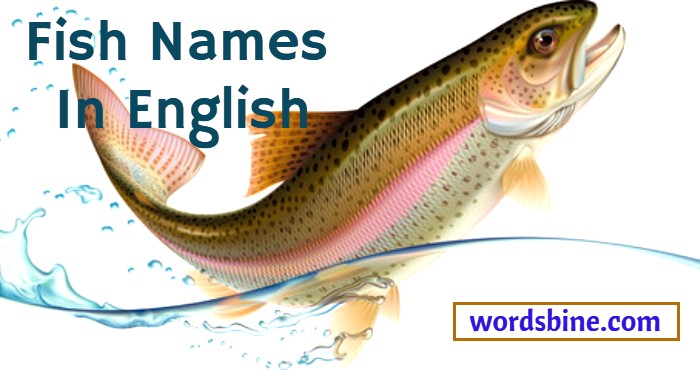 Fish Names In English