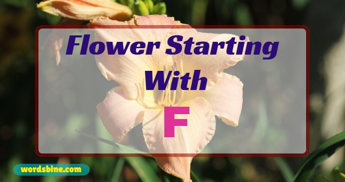 Flower Starting With F