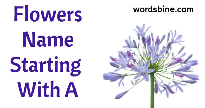 Flowers Name Starting With A