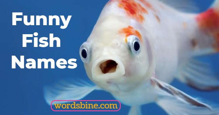 Funny Fish Names