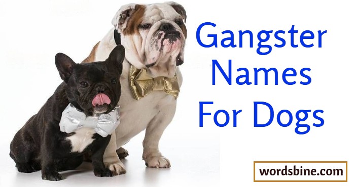 Gangster Names For Dogs