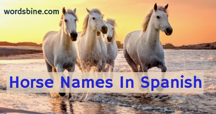 Horse Names In Spanish