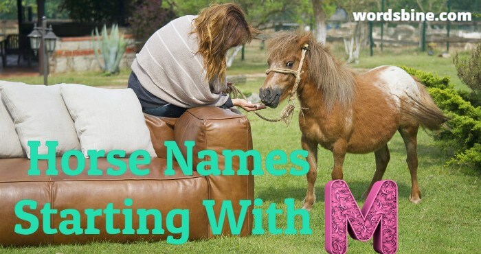 Horse Names Starting With M