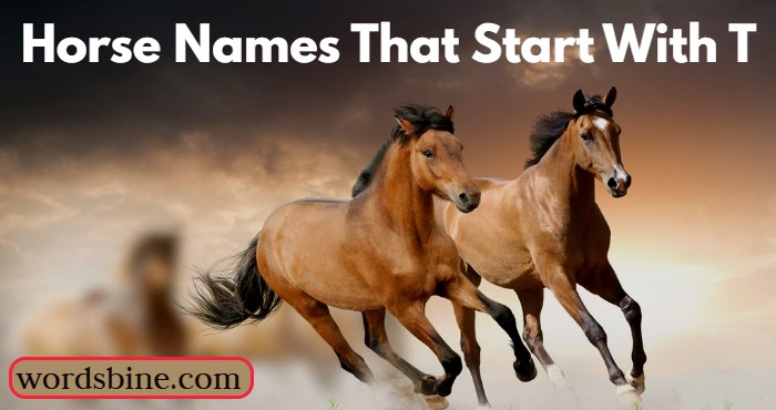 Horse Names That Start With T