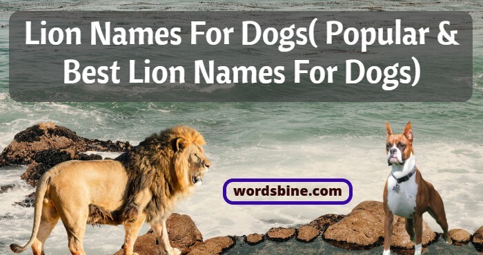Lion Names For Dogs( Popular & Best Lion Names For Dogs)