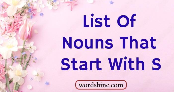 List Of Nouns That Start With S