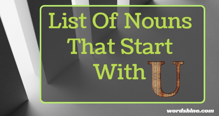 List Of Nouns That Start With U