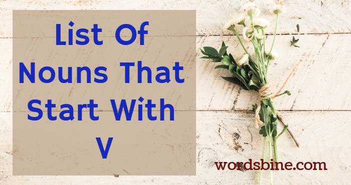 List Of Nouns That Start With V