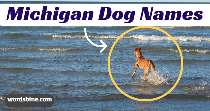 Michigan Dog Names