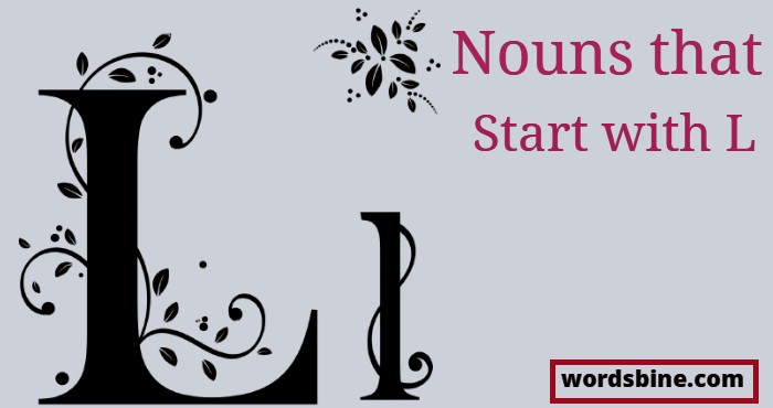 Nouns that Start with L