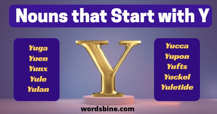 Nouns that Start with Y