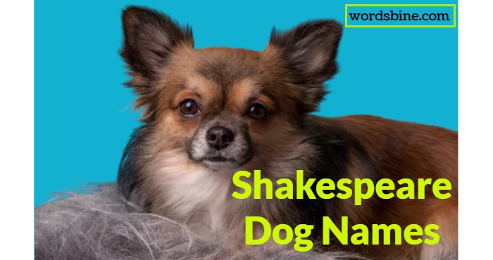 Shakespeare Dog Names