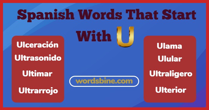 Spanish Words That Start With U