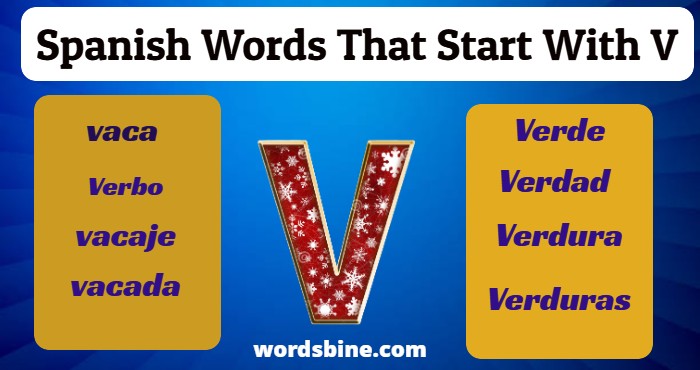 Spanish Words That Start With V