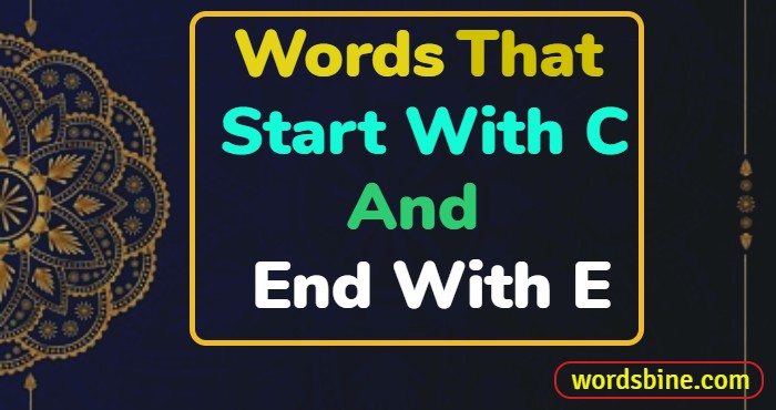 Words That Start With C And End With E