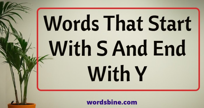 Words That Start With S And End With Y