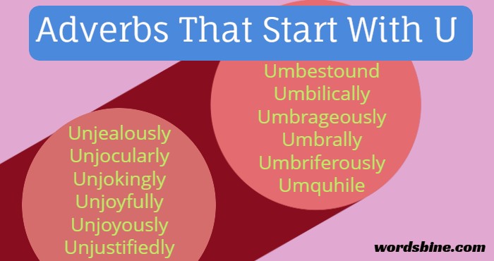 Adverbs That Start With U