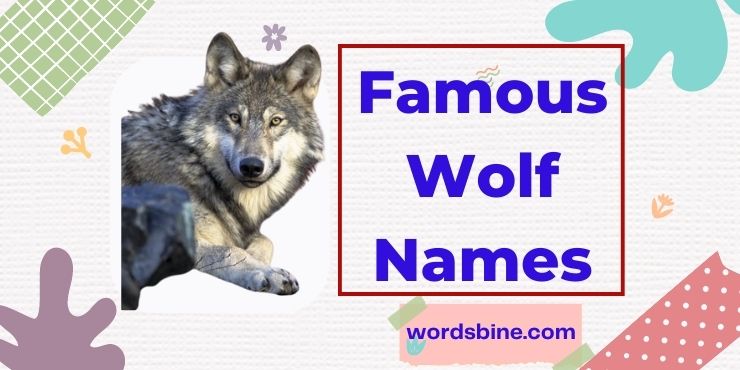 Famous Wolf Names - Wolf Name In History